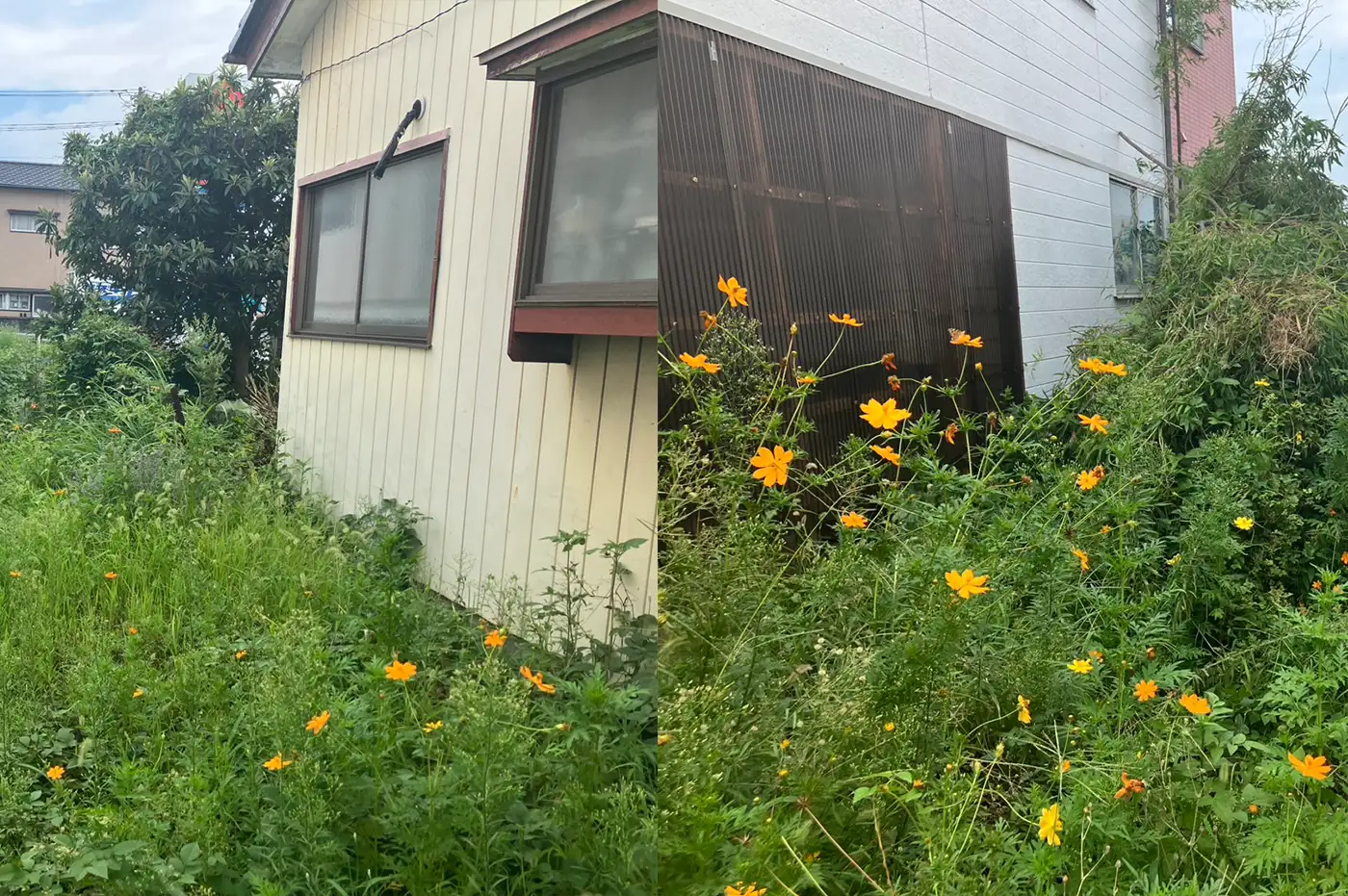 建物解体工事 ビフォー画像