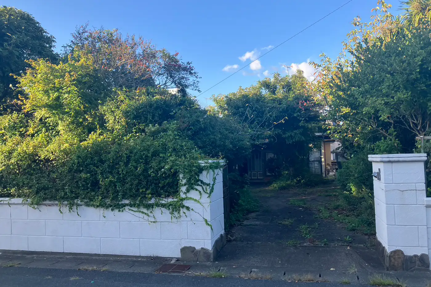 建物解体工事 ビフォー画像