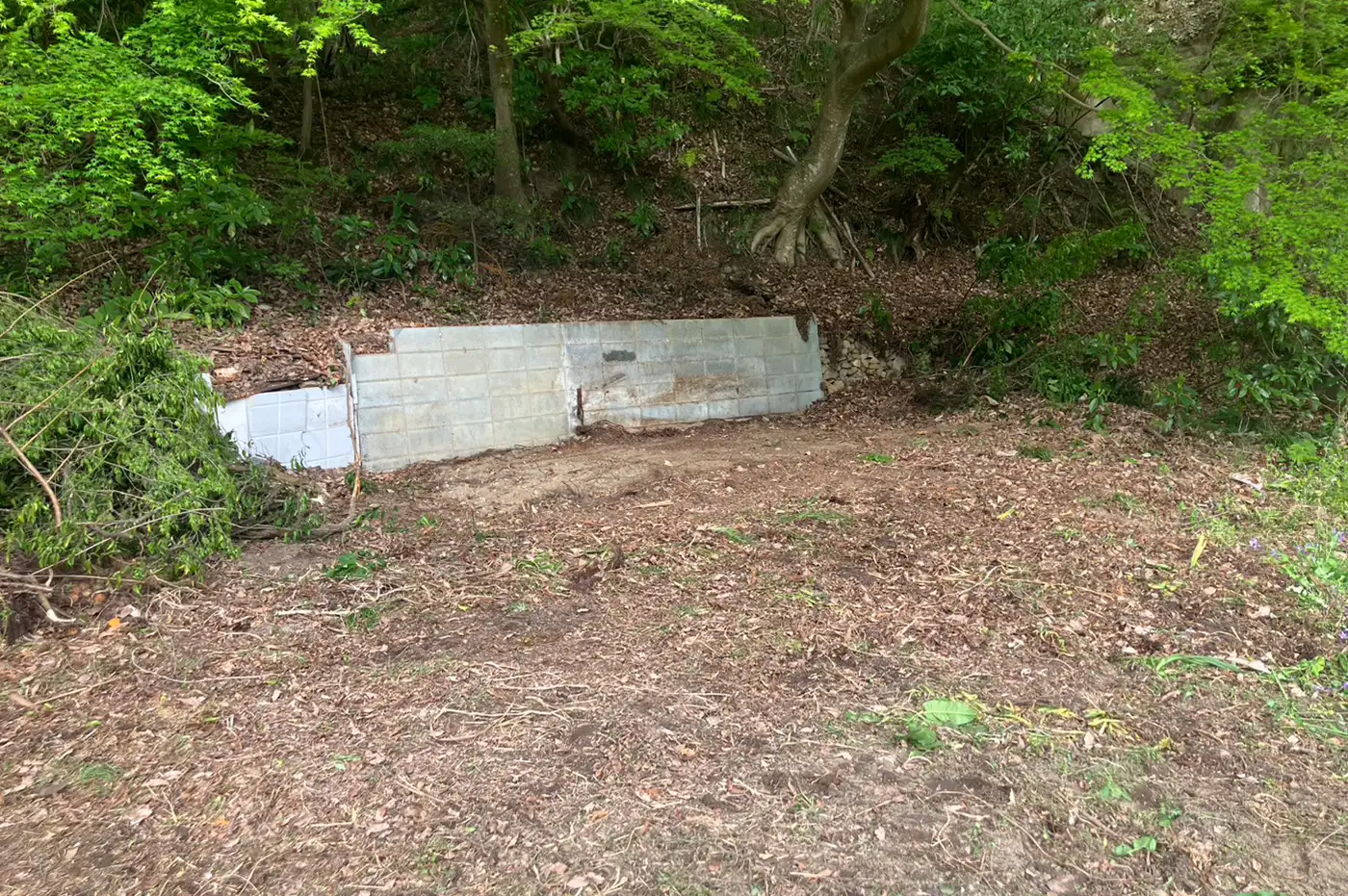 建物解体工事 アフター画像