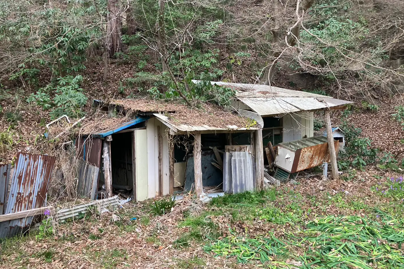 建物解体工事 ビフォー画像